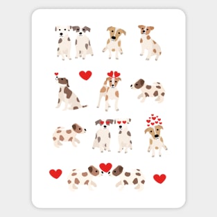 Cute Dogs jack russell terrier Magnet